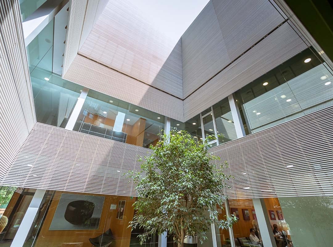 Services & traitements proposés